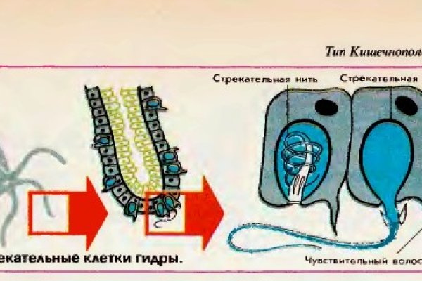 Зеркало на кракен