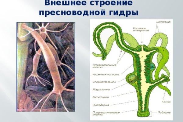 Кракен новая гидра