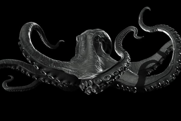 Kraken официальные зеркала