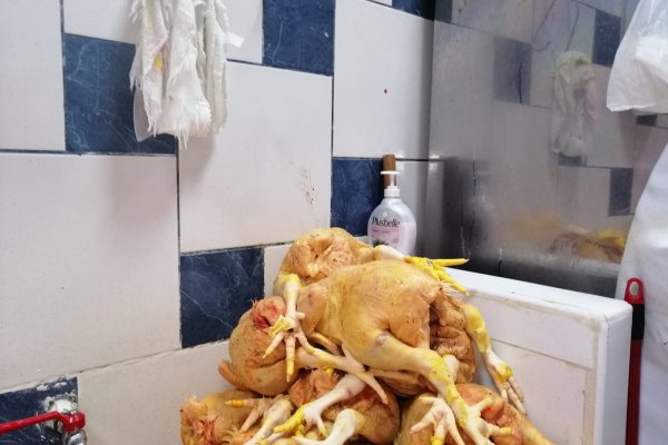 Кракен онион рабочая ссылка